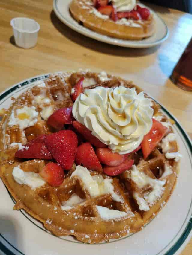 Waffle with strawberries and whipped cream for brunch meetings at Magnolia Pancake Haus.