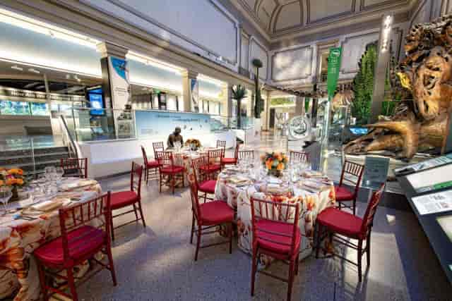 Elegant dining area in Nation's Fossil Hall for corporate events at Smithsonian Museum.