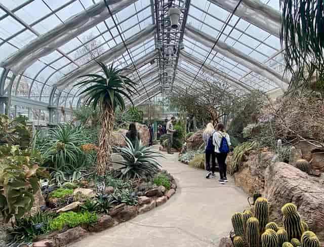 Vibrant Butterfly Garden, lush greenery for unique meetings and events
