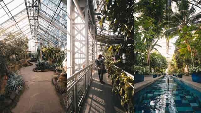 Botanic Garden Conservatory with lush greenery, ideal for networking events and gatherings.