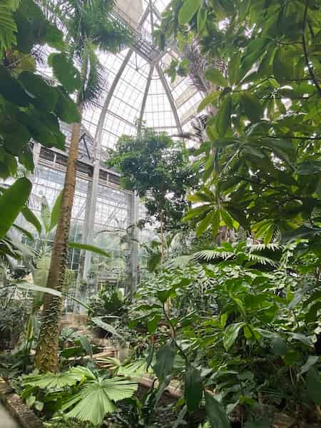 Conservatory