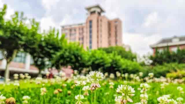 Inviting outdoor classroom at Shanghai Normal University for networking events, lush lawn.