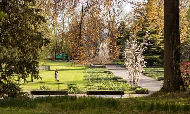 Garden