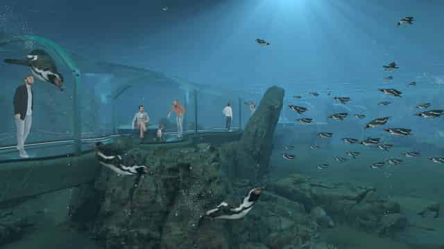 Aquarium