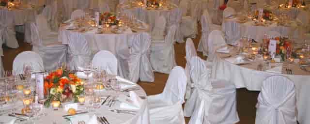 Leonardo da Vinci at a sophisticated banquet with elegant table setups for weddings and galas.