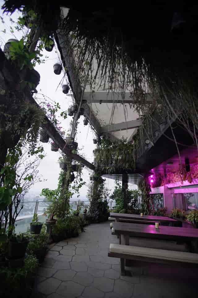 Lush greenery venue on 37th floor for corporate meetings and social gatherings.
