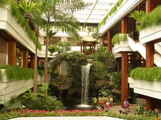 Vibrant indoor garden venue with waterfall for meetings and events at White Swan Hotel.
