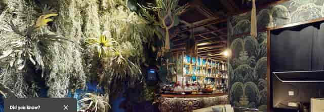Inti Room in Coya City: lush venue with vibrant greenery for events and gatherings