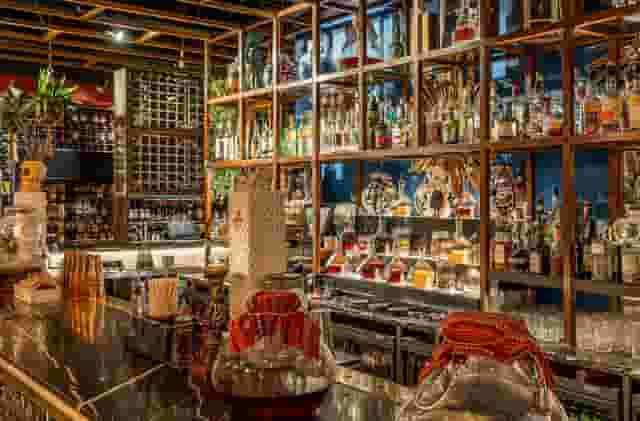 Coya City