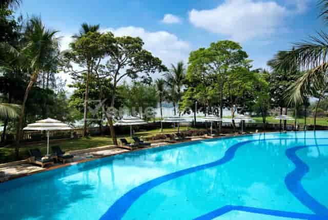 Lush Gauri Point poolside at Renaissance Mumbai for outdoor networking events.