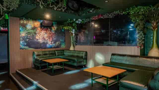 Jungle Hollywood