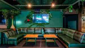 Jungle Hollywood