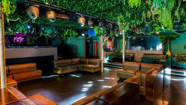 Lush jungle-themed nightclub in Hollywood, perfect for immersive social events and gatherings.