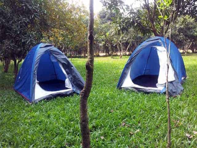 tents