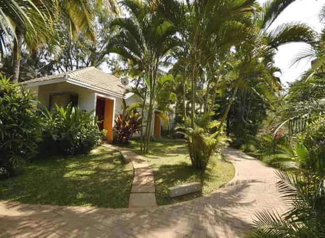 Large lawn