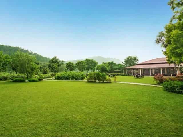 The Riverview Lawn