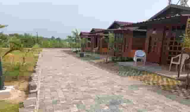 Garden Area