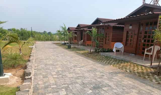 Garden Area