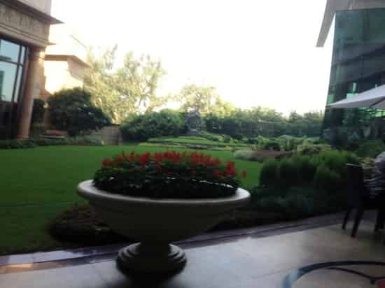 Terrace courtyard