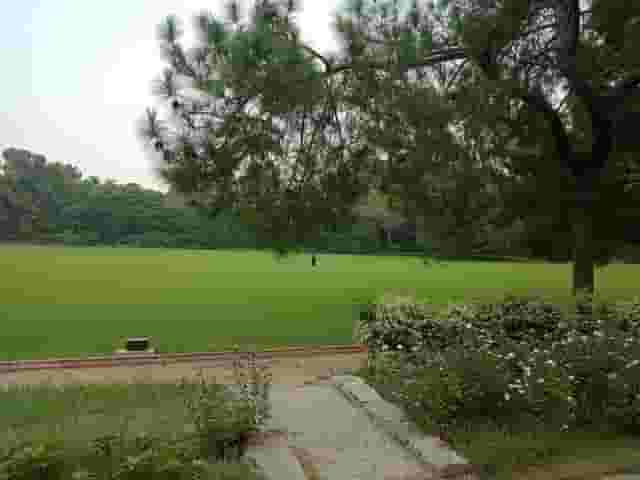 Lawn