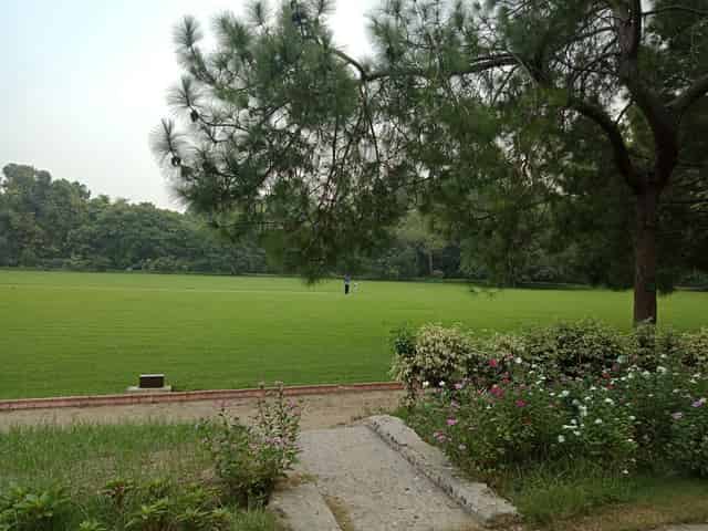 Lawn