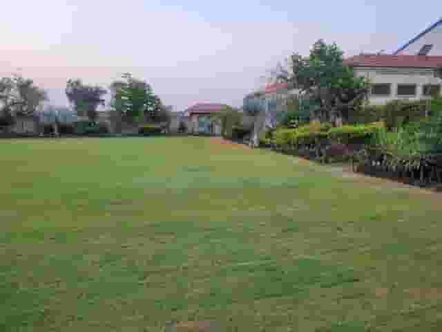 Gardens and Lawns
