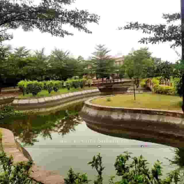 Gardens and Lawns