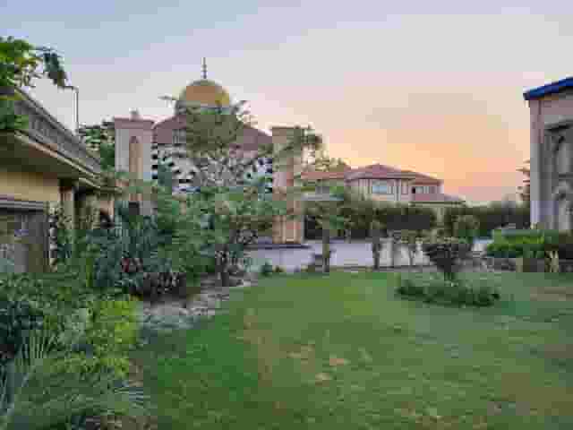 Gardens and Lawns