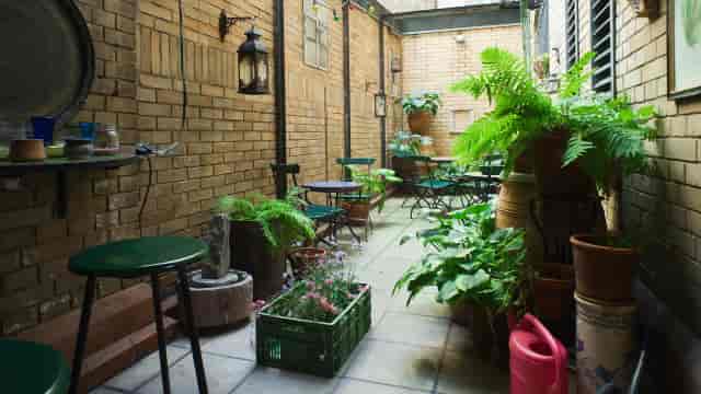 Charming hotel bar with greenery, ideal for intimate gatherings and networking events.