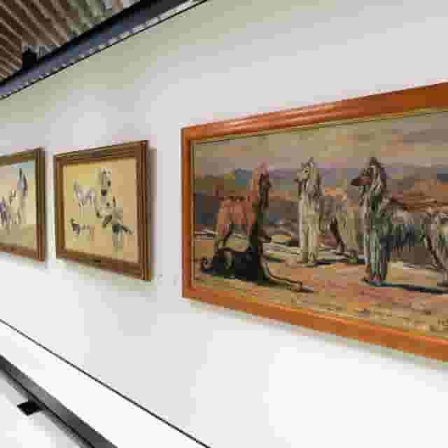Galleries