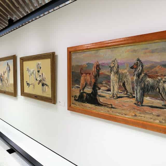 Galleries