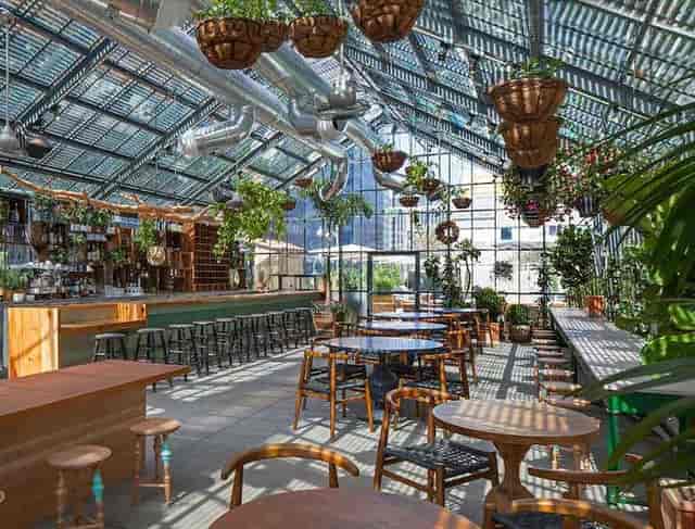 Contemporary event space with large windows and greenery, perfect for gatherings and receptions.
