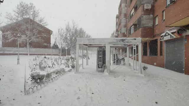 Cristal Area