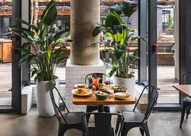 Stylish cafe with greenery, ideal for intimate meetings and networking lunches.