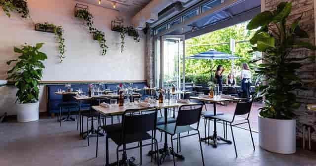 Vibrant event space with greenery for networking and casual meetings at Isla & Co.