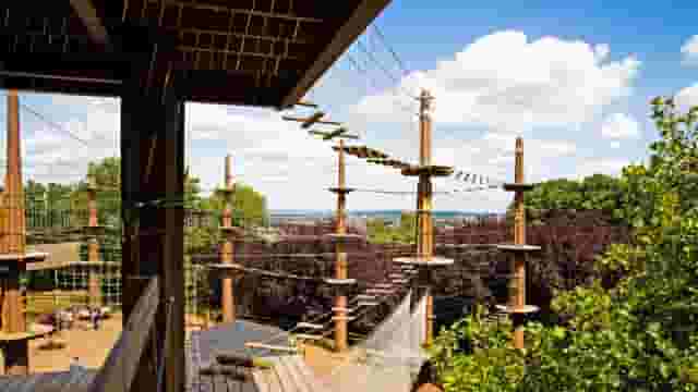 Treetop Challenge Xpress