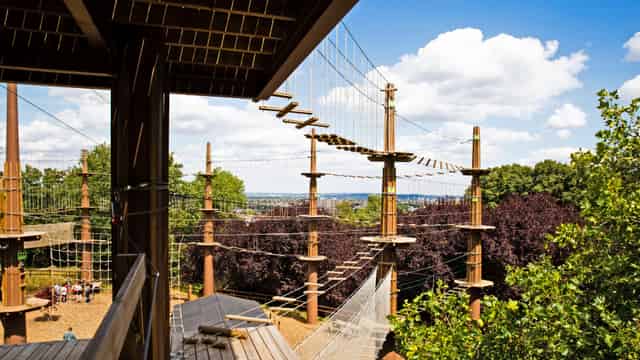 Treetop Challenge Xpress