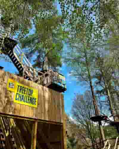 Treetop Challenge Xpress