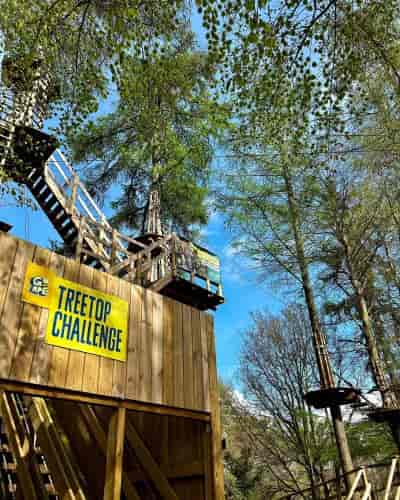 Treetop Challenge ...