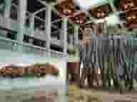 Westminster
