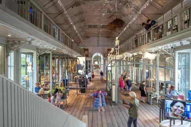 Royal Hall in ARTIS: spacious venue with natural light for events and networking.