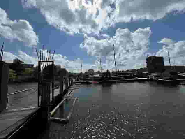 De Ceuvel