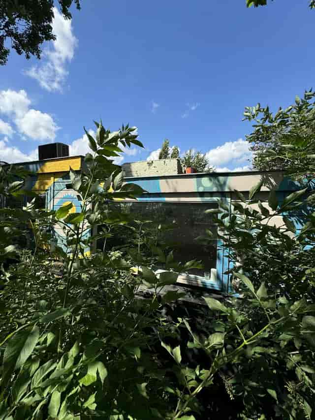 Metabolic Lab outdoor venue with colorful walls for creative gatherings in nature.