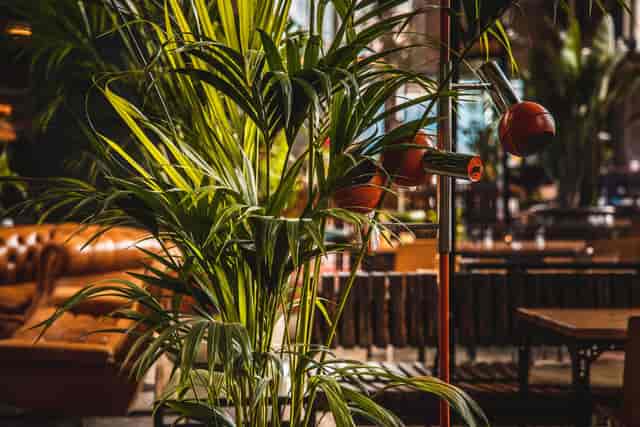 Stylish event space with lush greenery at The Dock/Terrace, IJver Amsterdam.