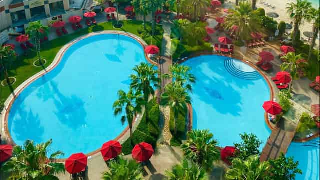 Poolside gardens