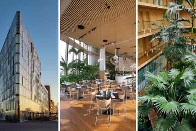 Modern hotel bar in Jakarta Amsterdam, ideal for events with elegant seating and greenery.