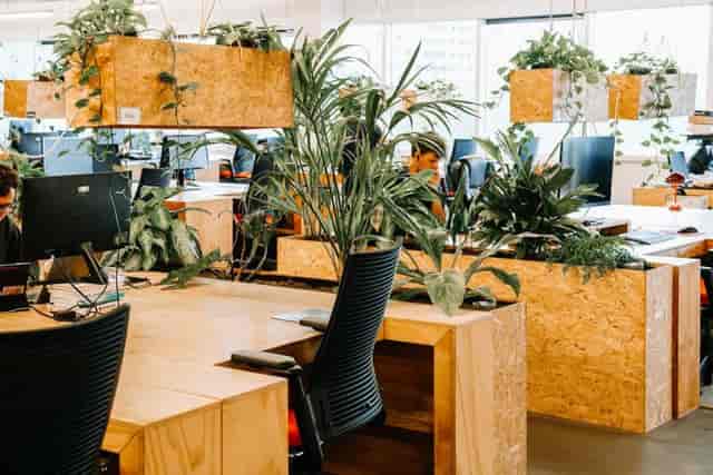 Modern coworking space with greenery for collaborative meetings and workshops.