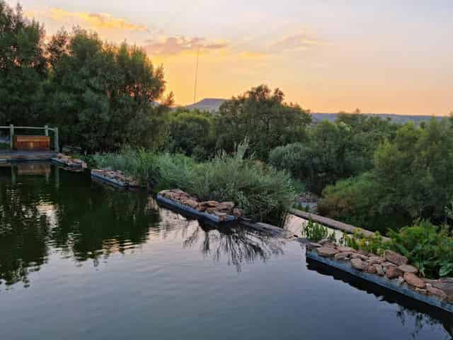 The Cradle Restaurant