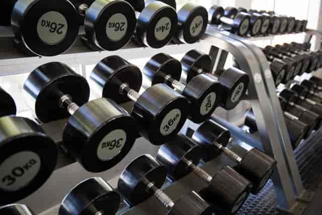 Dumbbell rack in Palmyra Room, ideal for fitness events and wellness retreats.