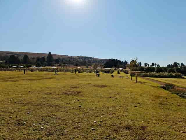 Tobacco Shed outdoor venue with green space for corporate retreats and team-building activities.